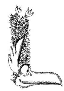 Oiseau en forme de lettrine L majuscule