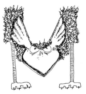 Oiseau en forme de lettrine M majuscule