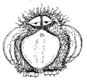 Oiseau en forme de lettrine Q majuscule