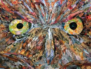 Regard d'un rapace, qui interpelle notre responsabilité dans l'actuelle extinction de masse