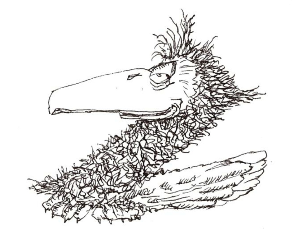 Oiseau en forme de lettrine Z majuscule